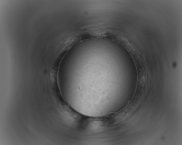 X0000094810658200711241447