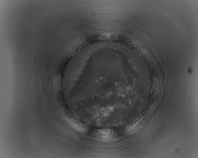 X0000094810659200711241447