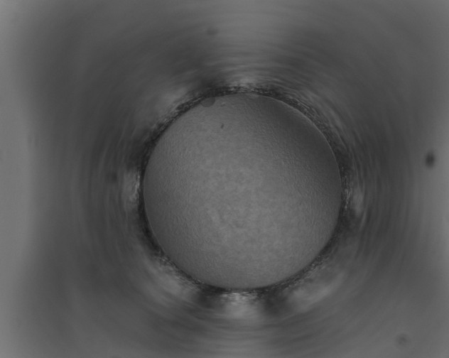 X0000094810660200711241447