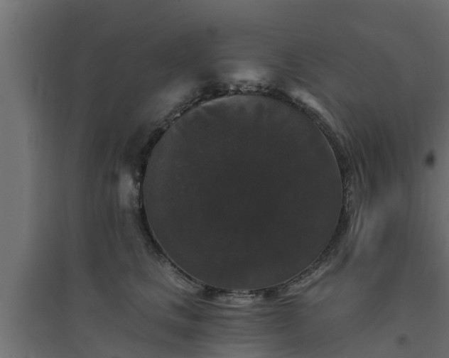 X0000094810661200711241447