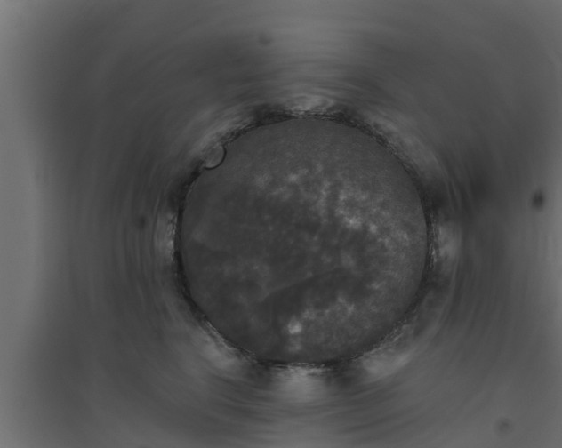 X0000094810664200711241447