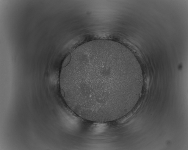 X0000094810665200711241447