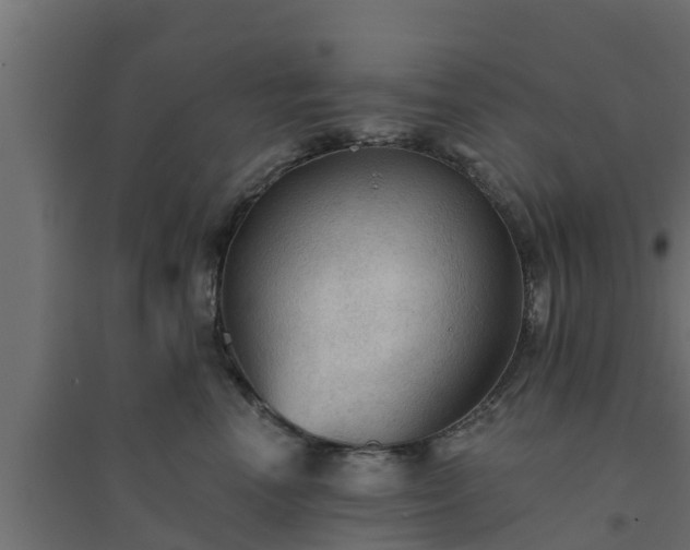 X0000094810666200711241447