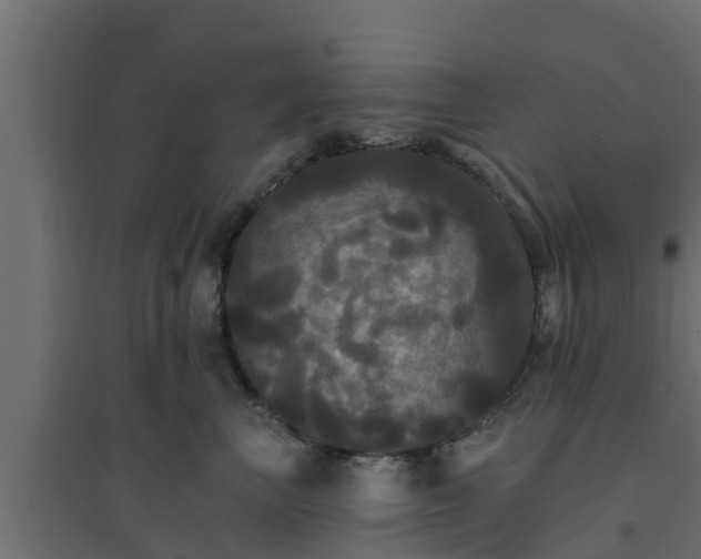 X0000094810667200711241447