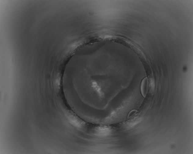 X0000094810668200711241447