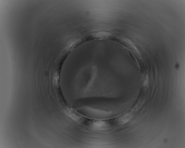 X0000094810669200711241447