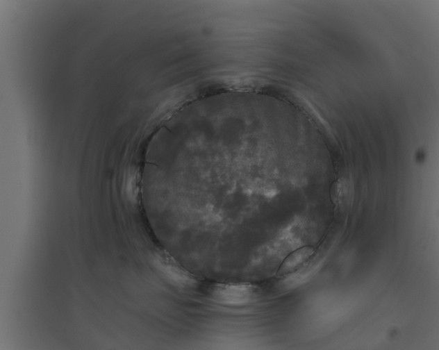 X0000094810671200711241447