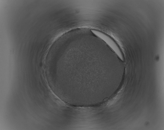 X0000094810673200711241446