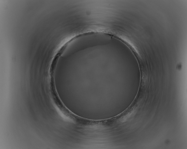 X0000094810674200711241446