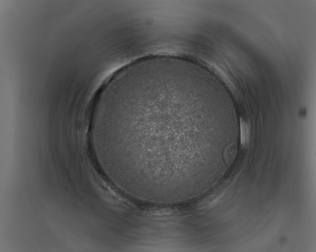 X0000094810675200711241446