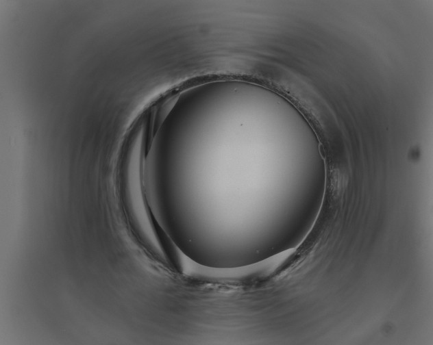 X0000094810676200711241446