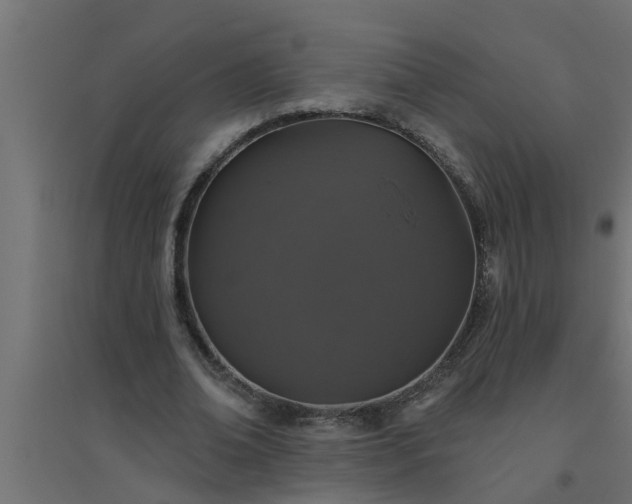 X0000094810678200711241446