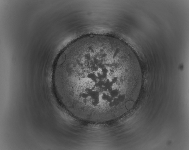 X0000094810679200711241446