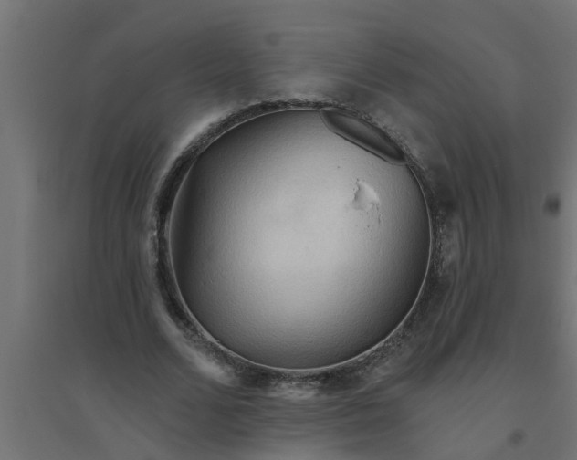 X0000094810680200711241446