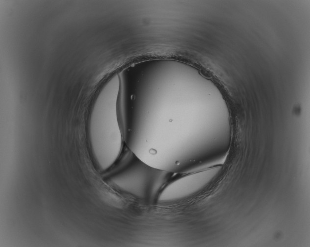 X0000094810681200711241446