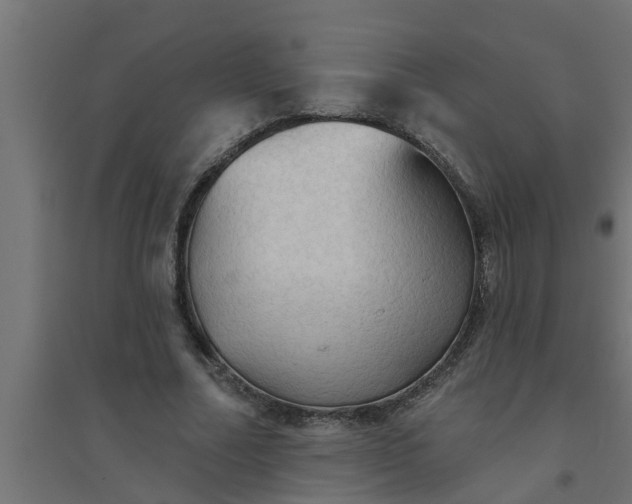 X0000094810682200711241446