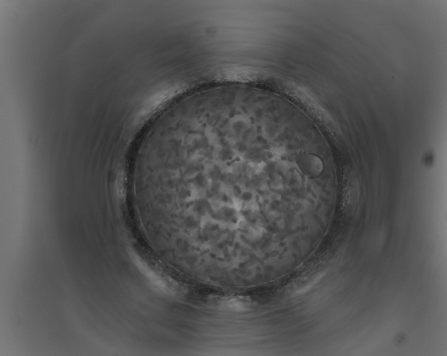 X0000094810683200711241446