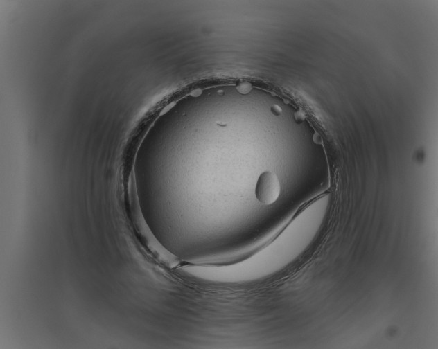 X0000094810684200711241446