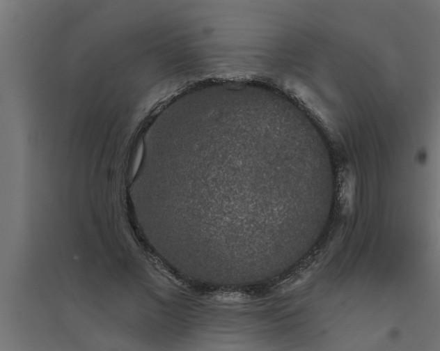 X0000094810685200711241446