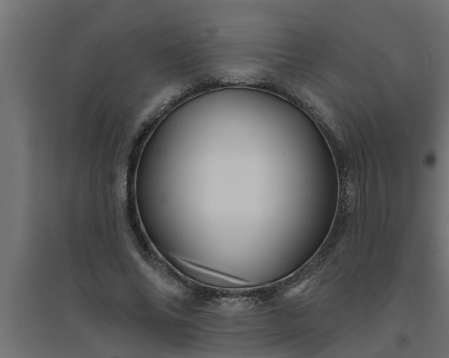 X0000094810686200711241446