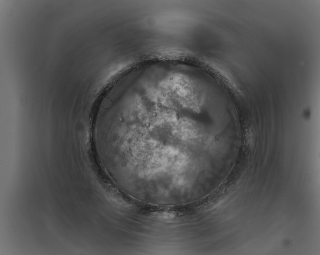 X0000094810687200711241446