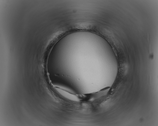 X0000094810688200711241446