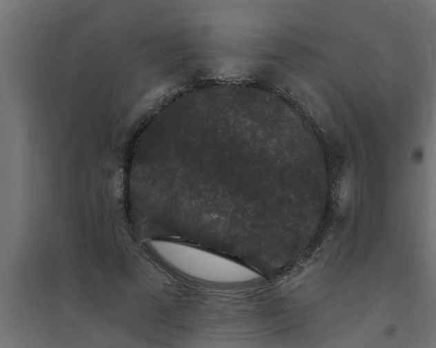 X0000094810689200711241446