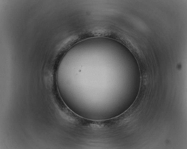 X0000094810690200711241446