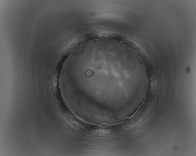 X0000094810691200711241446