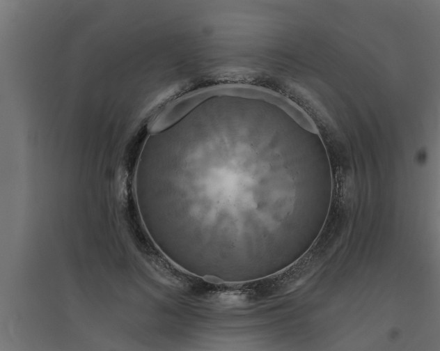 X0000094810692200711241446