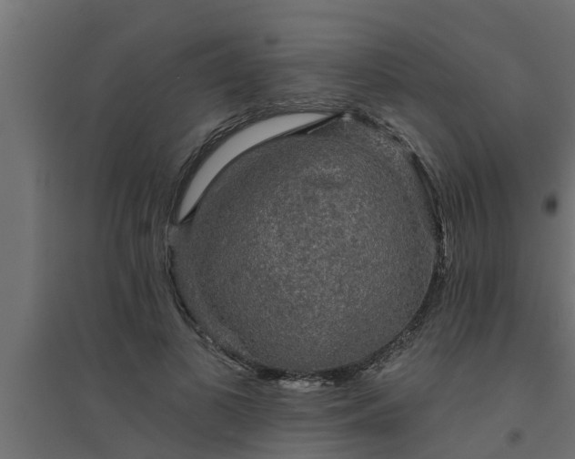 X0000094810693200711241446