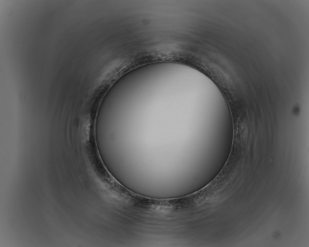 X0000094810694200711241446