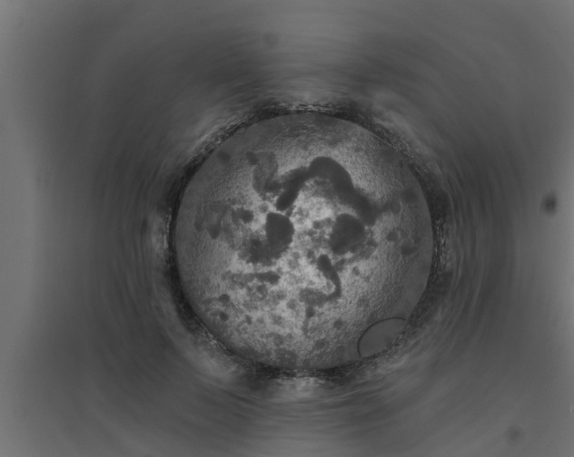 X0000094810695200711241446