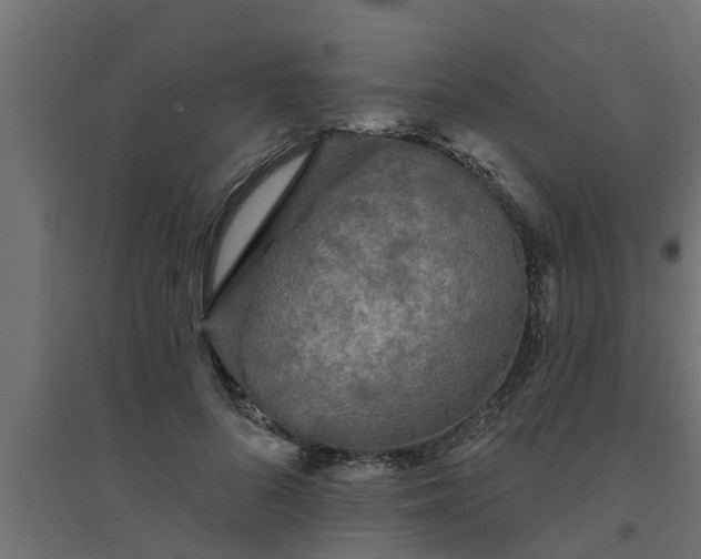 X0000094810696200711241446