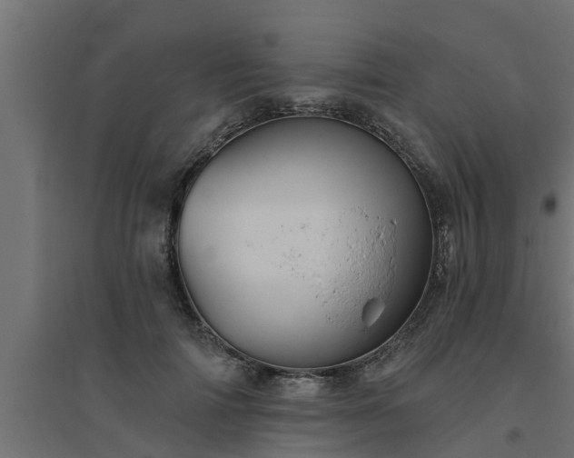 X0000094810698200711241446