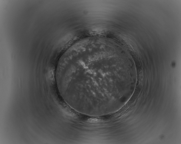 X0000094810699200711241446