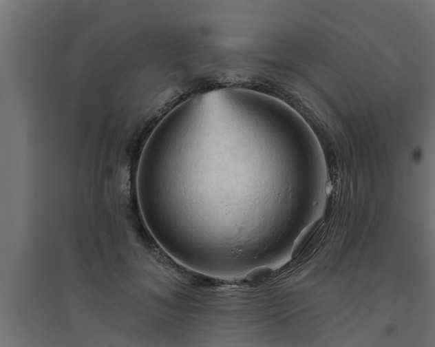 X0000094810700200711241446