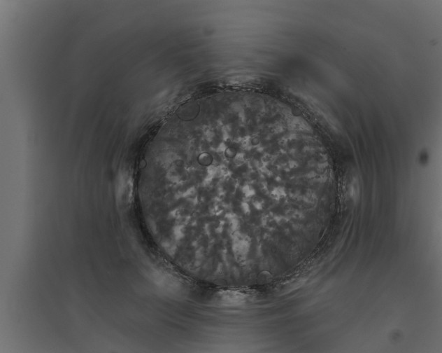 X0000094810703200711241446