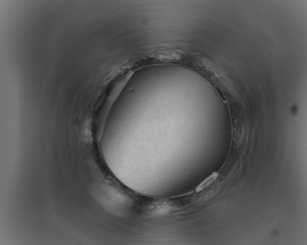 X0000094810704200711241446