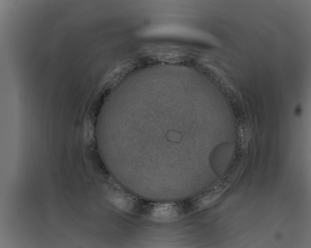 X0000094810705200711241446