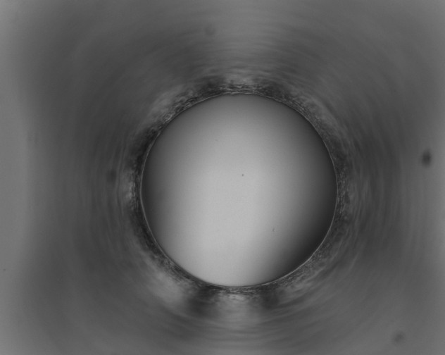 X0000094810706200711241446