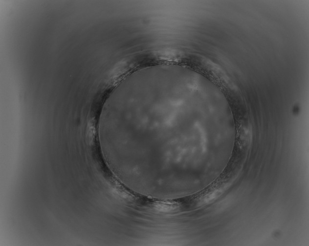 X0000094810707200711241446