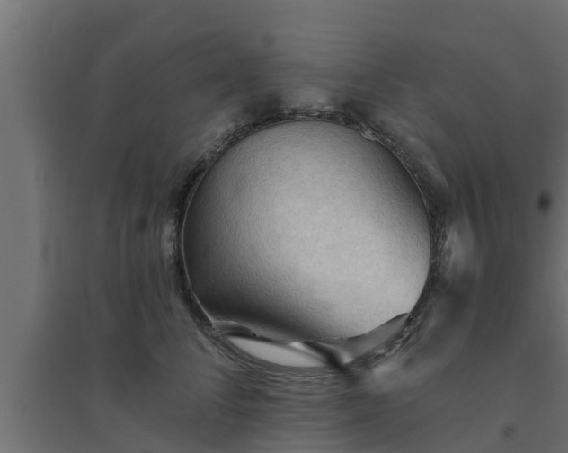 X0000094810708200711241446