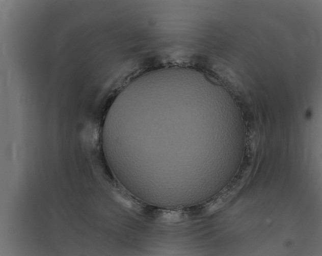 X0000094810709200711241446