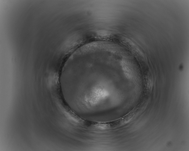 X0000094810711200711241446