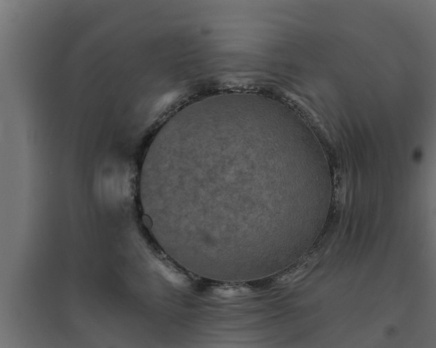 X0000094810712200711241446