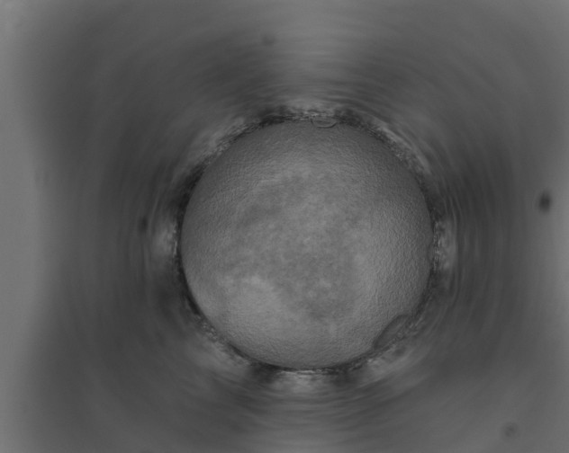 X0000094810713200711241446