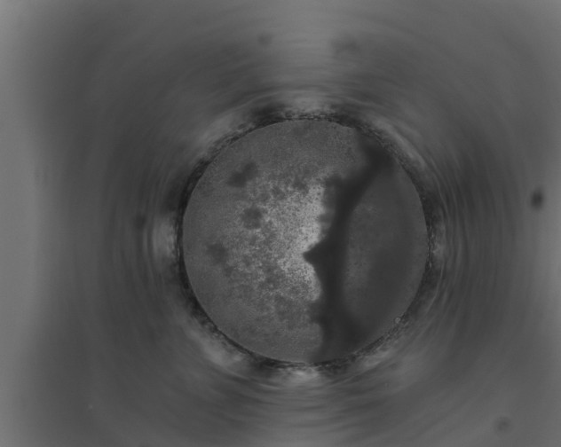 X0000094810715200711241446