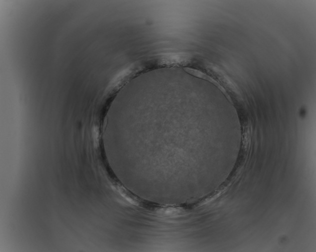 X0000094810716200711241445