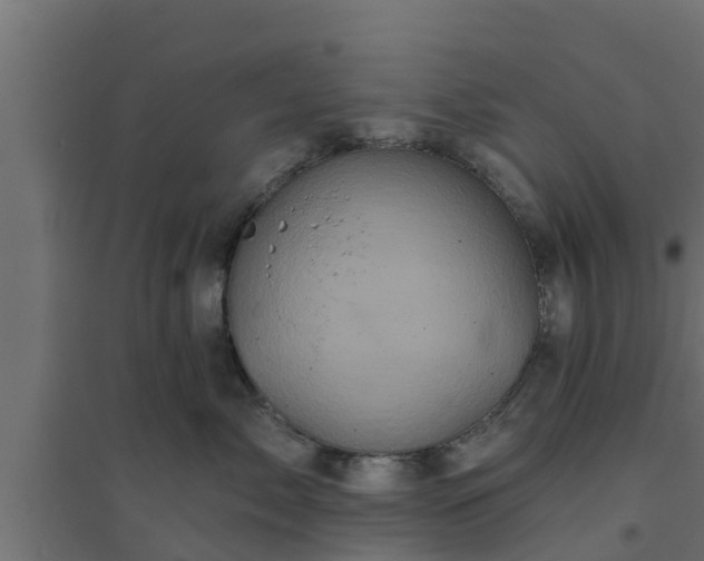 X0000094810717200711241445